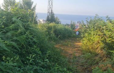 BAHÇELİEVLER MAHALLESİNDE SATILIK ARAZİ