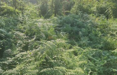 BAHÇELİEVLER MAHALLESİNDE SATILIK ARAZİ