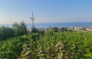 BAHÇELİEVLER MAHALLESİNDE SATILIK ARAZİ