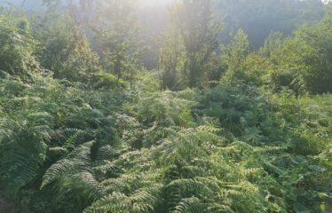 BAHÇELİEVLER MAHALLESİNDE SATILIK ARAZİ