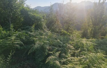 BAHÇELİEVLER MAHALLESİNDE SATILIK ARAZİ