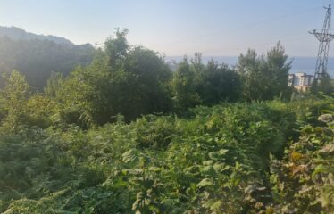 BAHÇELİEVLER MAHALLESİNDE SATILIK ARAZİ