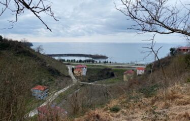 İŞTE ARADINIZ FINDIK BAHÇESİ