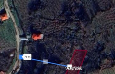 İŞTE ARADINIZ FINDIK BAHÇESİ