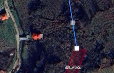 İŞTE ARADINIZ FINDIK BAHÇESİ