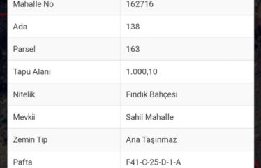 İŞTE ARADINIZ FINDIK BAHÇESİ