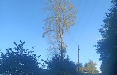 HARİKA DENİZ MANZARASINA SAHİP SATILIK ARAZİ