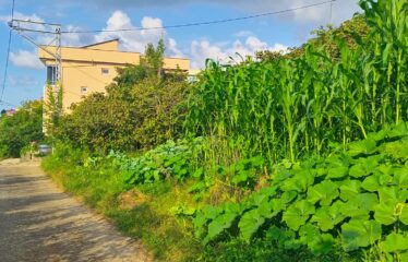 GİRESUN-TRABZON KARAYOLUNDA SATILIK ARSA