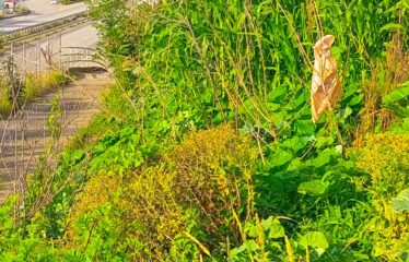 GİRESUN-TRABZON KARAYOLUNDA SATILIK ARSA