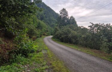 CİMİDE DANIŞMAN KÖYÜNDE 20 DÖNÜM SATILIK ARAZİ