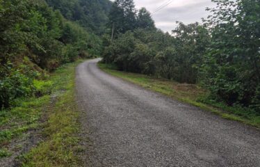 CİMİDE DANIŞMAN KÖYÜNDE 20 DÖNÜM SATILIK ARAZİ