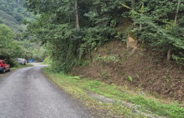 CİMİDE DANIŞMAN KÖYÜNDE 20 DÖNÜM SATILIK ARAZİ