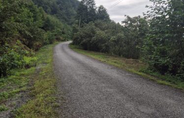 CİMİDE DANIŞMAN KÖYÜNDE 20 DÖNÜM SATILIK ARAZİ