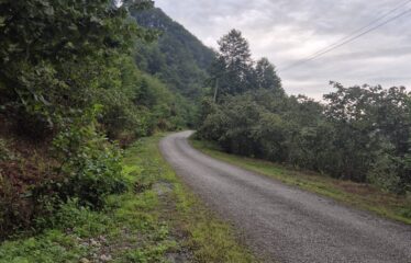 CİMİDE DANIŞMAN KÖYÜNDE 20 DÖNÜM SATILIK ARAZİ