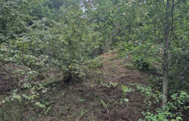 CİMİDE DANIŞMAN KÖYÜNDE 20 DÖNÜM SATILIK ARAZİ