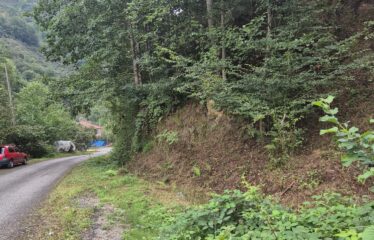 CİMİDE DANIŞMAN KÖYÜNDE 20 DÖNÜM SATILIK ARAZİ