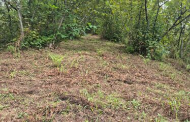 CİMİDE DANIŞMAN KÖYÜNDE 20 DÖNÜM SATILIK ARAZİ