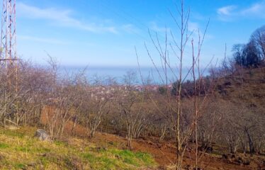 BOZCAALİ MAHALLESİNDE SATILIK ARAZİ