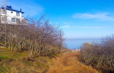 BOZCAALİ MAHALLESİNDE SATILIK ARAZİ