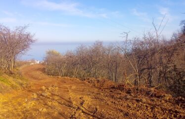 BOZCAALİ MAHALLESİNDE SATILIK ARAZİ