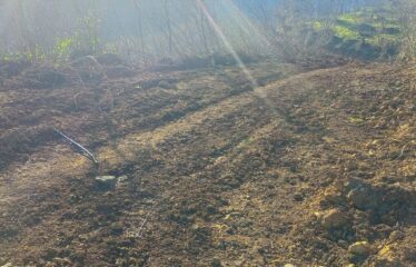 BOZCAALİ MAHALLESİNDE SATILIK ARAZİ