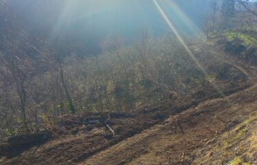 BOZCAALİ MAHALLESİNDE SATILIK ARAZİ