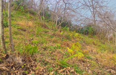 GİRESUN TRABZON KARAYOLU ÜZERİNDE 680 M SATILIK ARAZİ