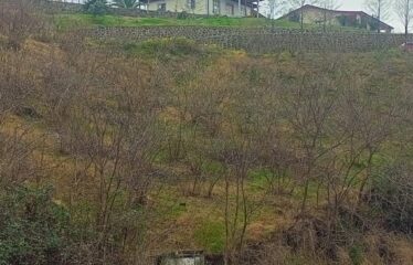 GİRESUN TRABZON KARAYOLU ÜZERİNDE 680 M SATILIK ARAZİ