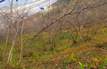 GİRESUN TRABZON KARAYOLU ÜZERİNDE 680 M SATILIK ARAZİ