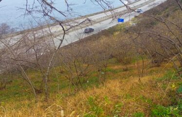 GİRESUN TRABZON KARAYOLU ÜZERİNDE 680 M SATILIK ARAZİ