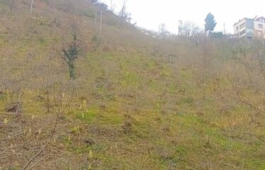 CİLLİOĞLU MAHALLESİNDE SATILIK ARAZİ