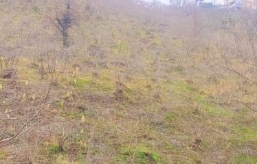 CİLLİOĞLU MAHALLESİNDE SATILIK ARAZİ