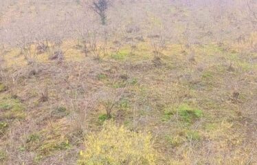 CİLLİOĞLU MAHALLESİNDE SATILIK ARAZİ