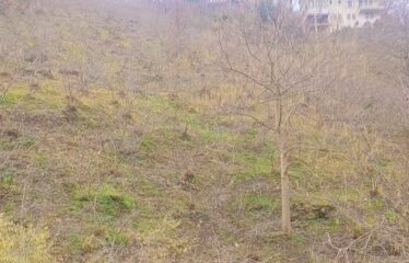 CİLLİOĞLU MAHALLESİNDE SATILIK ARAZİ