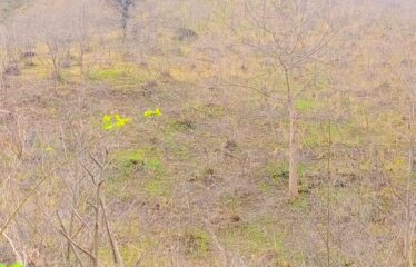 CİLLİOĞLU MAHALLESİNDE SATILIK ARAZİ