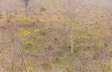 CİLLİOĞLU MAHALLESİNDE SATILIK ARAZİ