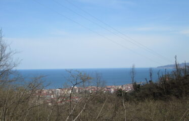 BOZCAALİ MAHALLESİNDE SATILIK ARAZİ