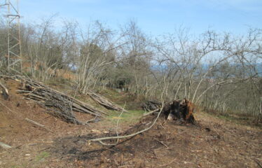 BOZCAALİ MAHALLESİNDE SATILIK ARAZİ