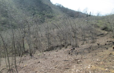 BOZCAALİ MAHALLESİNDE SATILIK ARAZİ