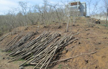 BOZCAALİ MAHALLESİNDE SATILIK ARAZİ