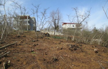 BOZCAALİ MAHALLESİNDE SATILIK ARAZİ