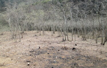 BOZCAALİ MAHALLESİNDE SATILIK ARAZİ