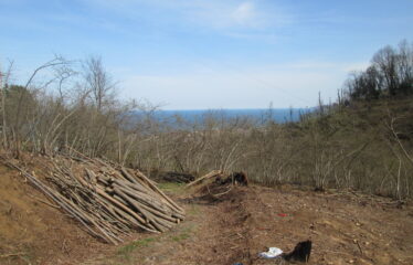 BOZCAALİ MAHALLESİNDE SATILIK ARAZİ