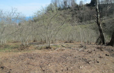 BOZCAALİ MAHALLESİNDE SATILIK ARAZİ