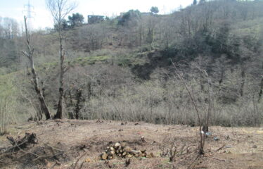 BOZCAALİ MAHALLESİNDE SATILIK ARAZİ