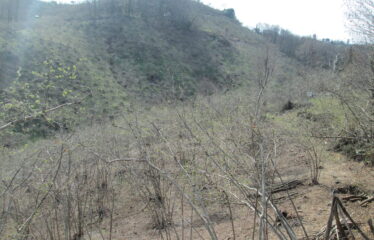 BOZCAALİ MAHALLESİNDE SATILIK ARAZİ