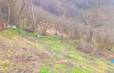 KARABURUN KÖYÜNDE 3,181 M SATILIK FINDIK BAHÇESİ