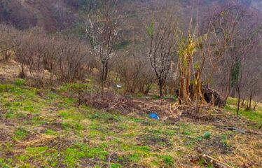 KARABURUN KÖYÜNDE 3,181 M SATILIK FINDIK BAHÇESİ