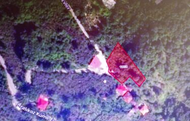 İŞTE ARADINIZ BAHÇE