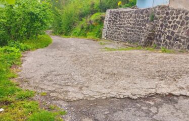 İŞTE ARADINIZ BAHÇE